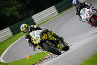 Lower Group Yellow Bikes